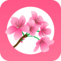 桃缘交友平台
