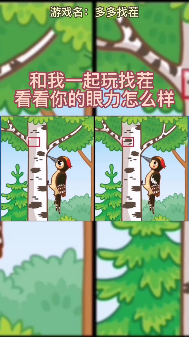 多多找茬 多多找茬