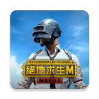 绝地求生亚服