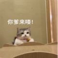 你爹来啰原图表情包