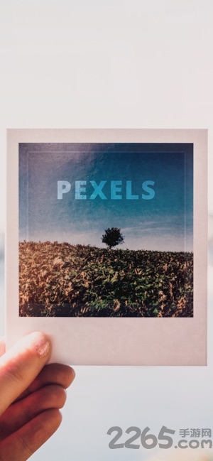 pexels中文版软件app