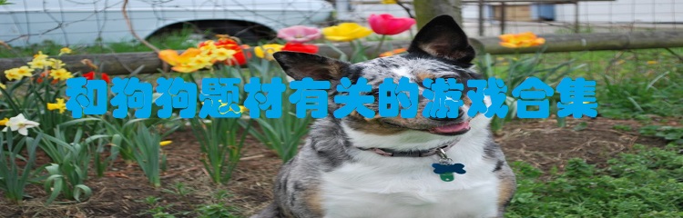 和狗狗题材有关的游戏合集