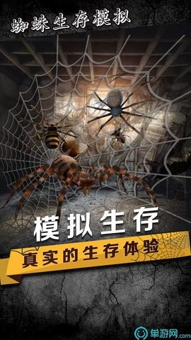 蜘蛛生存模拟器