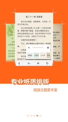 酒棠小说