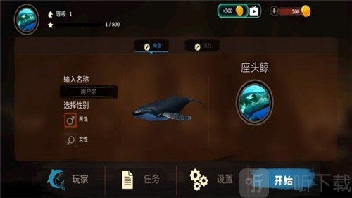 海洋动物世界