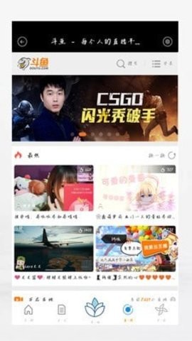 稻米小说