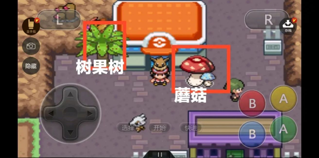 口袋妖怪王冠雪