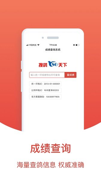 赛鸽头条 