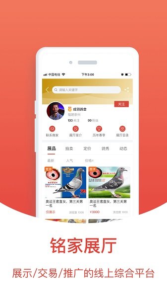 赛鸽头条 