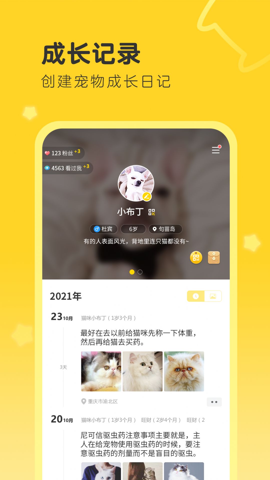 句苗岛-插图1