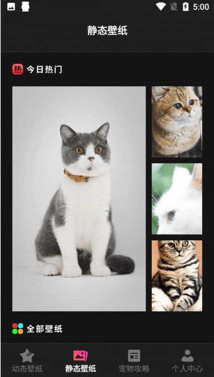 猫咪切换壁纸