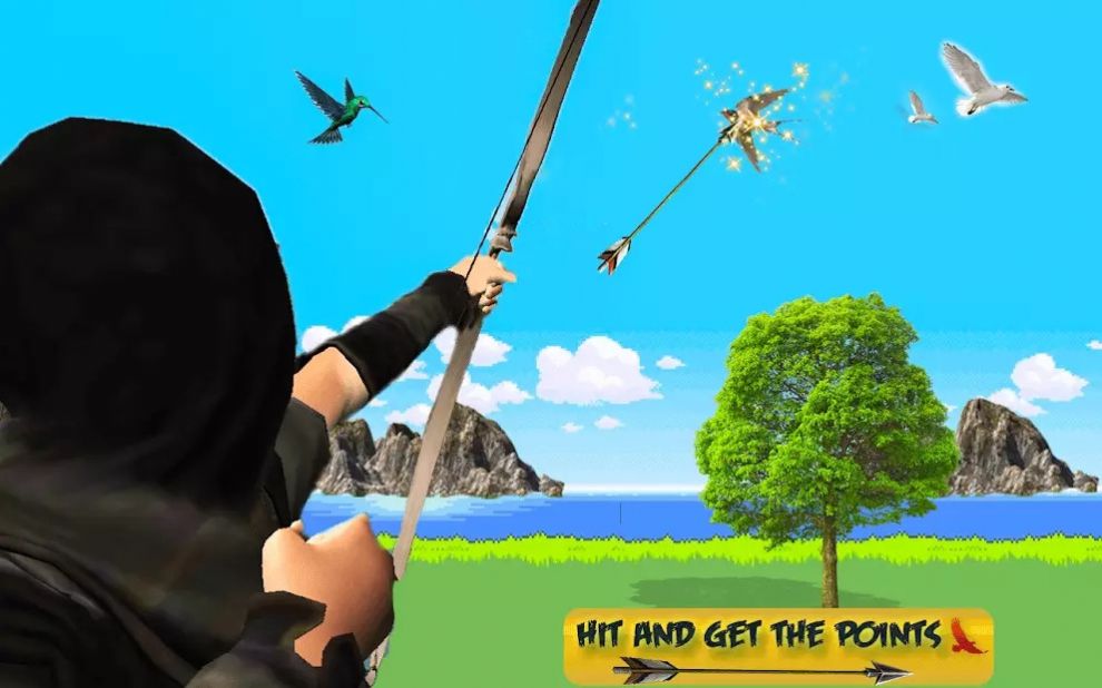 鸟狩猎疯狂 鸟狩猎疯狂