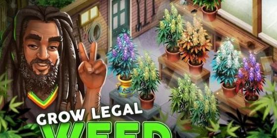 植物大亨