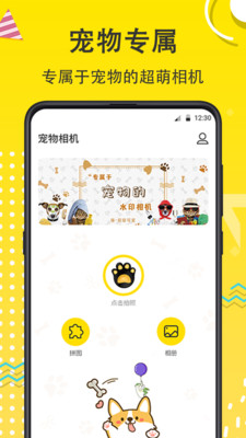 猫狗开心一刻宠物相机