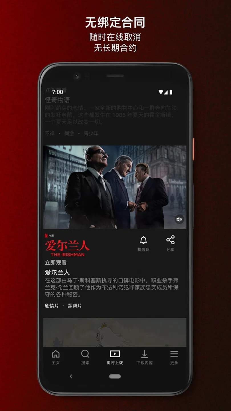 奈飞中文版