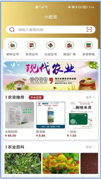 小肥龙