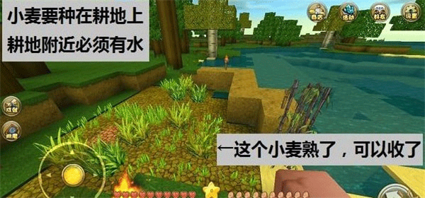 迷你世界(测试服)