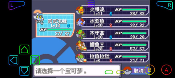 口袋妖怪究极绿宝石小智版