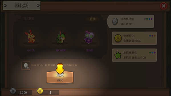 1707187902775986.jpg